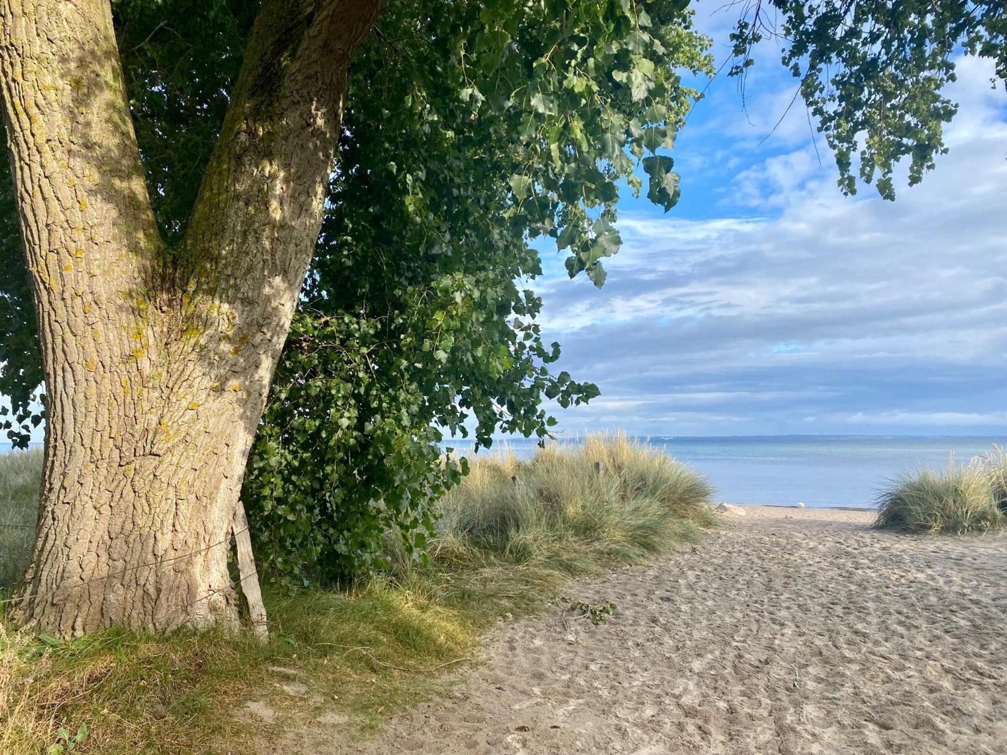 Feriendorf Südstrand Haus 49 Pelzerhaken Exterior foto